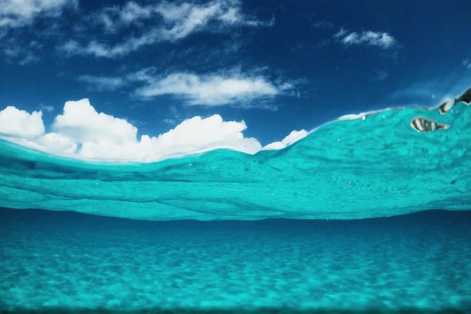Nassau Sightseeing Tour via Coach With Snorkeling  - New Providence Island - Traveler Reviews and Highlights