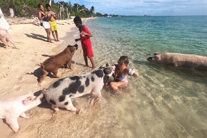 Nassau Small-Group Half-Day Snorkeling Sea Escape - Positive Reviews (Specific Points)