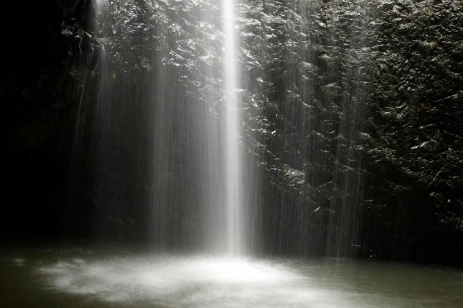 Natural Bridge Glow Worm Night Tour From Gold Coast - Trek Through Ancient Rainforest
