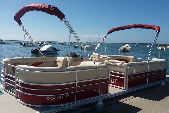 Nature Catamaran Tour From Faro - Tour Itinerary and Activities
