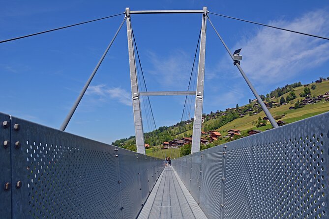 Nature Park Blue Lake, Suspension Bridge and City of Thun - Discovering the City of Thun