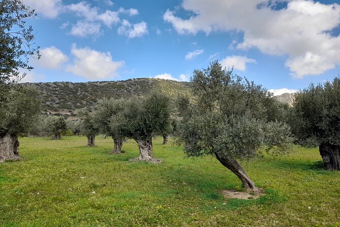 Naxos: Countryside Hike Among Villages & Byzantine Churches - Village Exploration