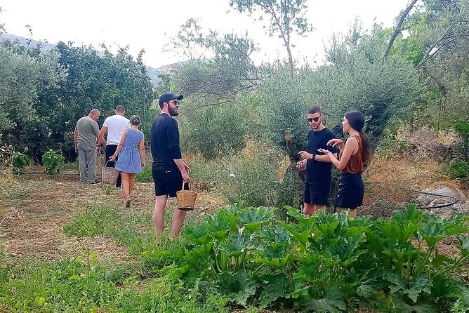 Naxos Half-Day Cooking Lesson - Local Cooking Secrets and Techniques