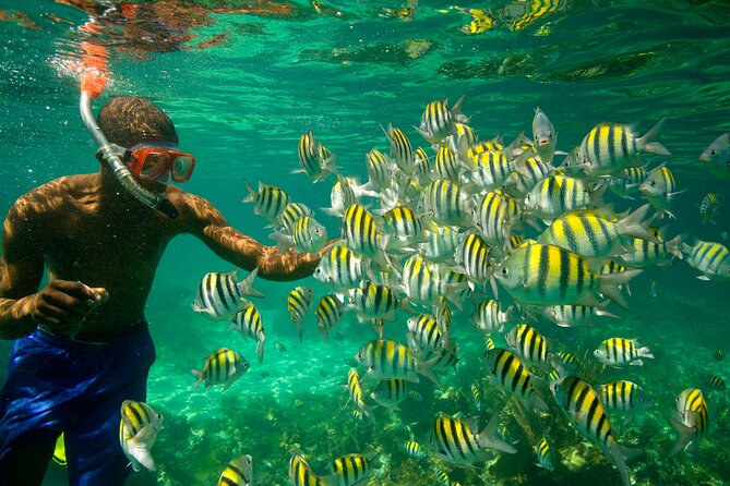 Negril Seven Miles Beach, Snorkeling, Boat Ride, Ricks Cafe Combo - Snorkeling and Water Activities