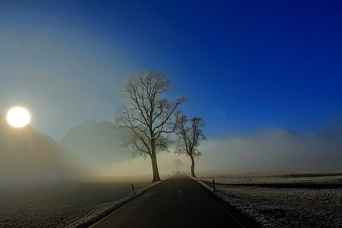 Neuschwanstein Private Winter Tour From Munich Incl. TICKETS - Meeting and Pickup Details