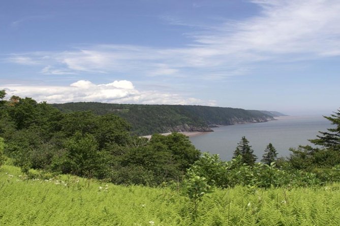 New Brunswick Shore Excursion: Bay of Fundy and More Highlights Tour - Logistics