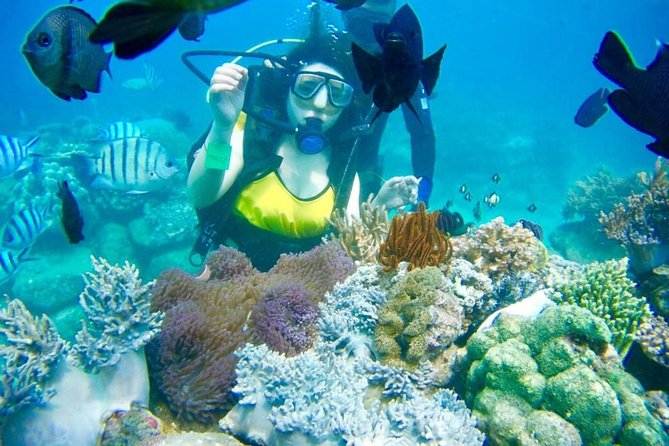 Nha Trang Happy Boat Trip Included Floating Bar And Lunch - Enjoy a Delicious Lunch on Board
