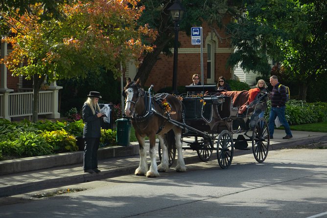 Niagara Falls One Day Sightseeing Tour From Toronto - Reviews