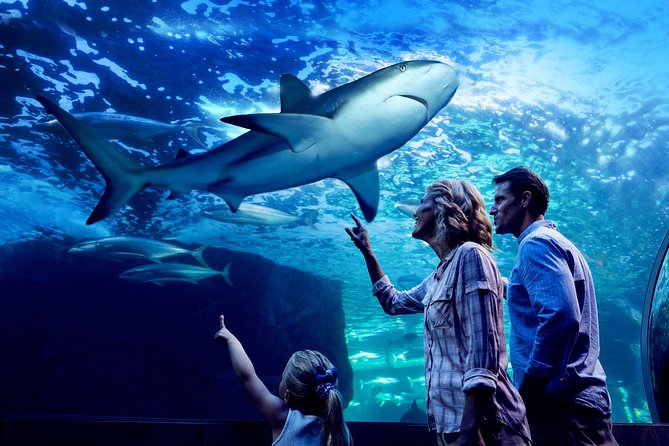 Night at the Aquarium Tour & 2 Course Dinner - Dining Experience