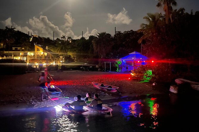 Night Kayak Tour St. John - Westin Resort - Tour Highlights