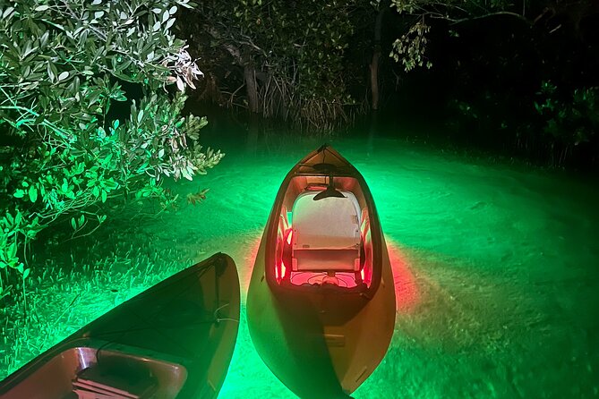 Night Mangroves LED Tour on a Glass Bottom Kayak - Inclusions