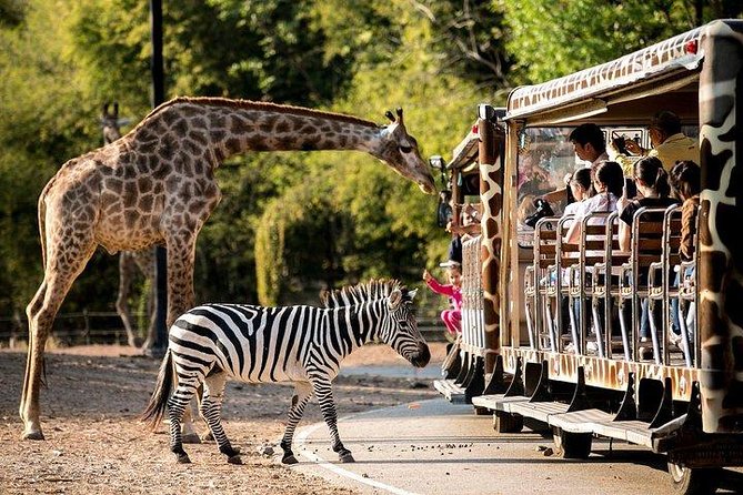 Night Safari From Chiangmai - SPECIAL DEAL - Questions and Support
