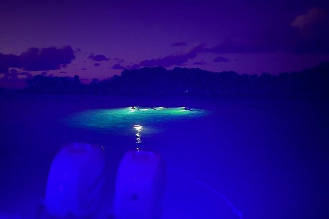 Night Snorkeling and Boat Experience With Appetizer and Drinks - Experience the Beauty of a Coral Reef