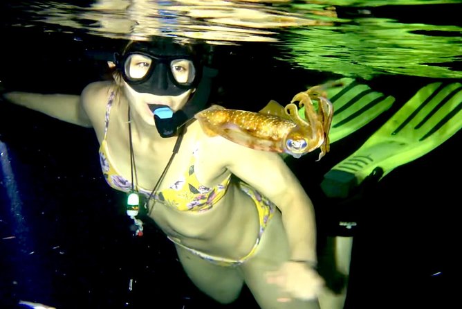 Night Snorkeling - Observation of Octopus and Other Species - Cancellation Policy