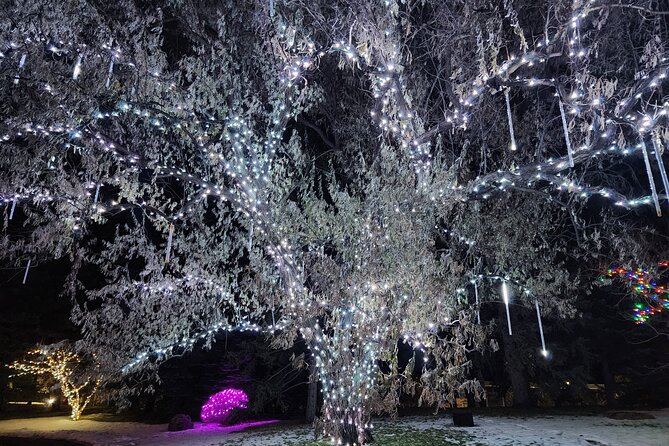 Nikka Yuko Japanese Garden Winter Light Festival - Ticket Redemption