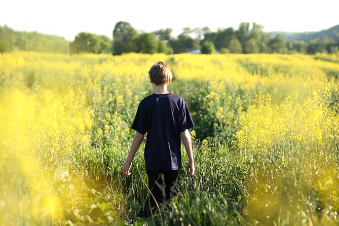 Norfolk Self-Guided Smartphone Tour and Scavenger Hunt  - Norwich - Tour Experience