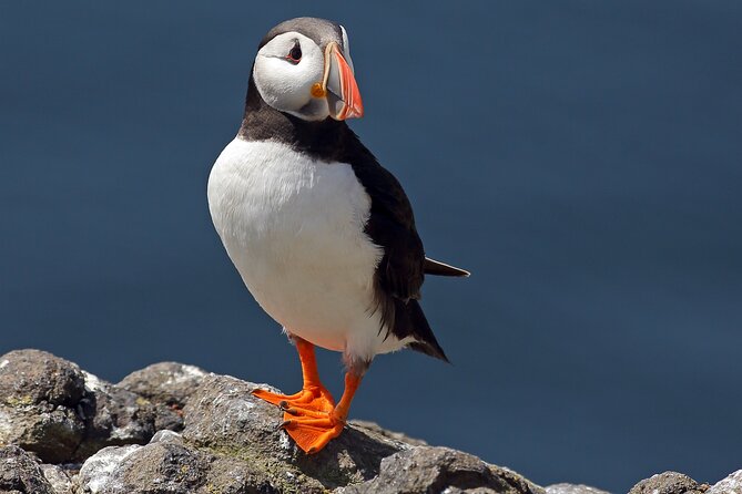 North East Coastal Trail Small Group Day Tour From Aberdeen - Itinerary