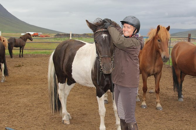 North Iceland: Horseback Riding Tour  - Akureyri - Inclusions and Meeting/Pickup Information