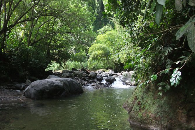 North Island Tour And Martinique Best Secret - Strolling Through Old Capital