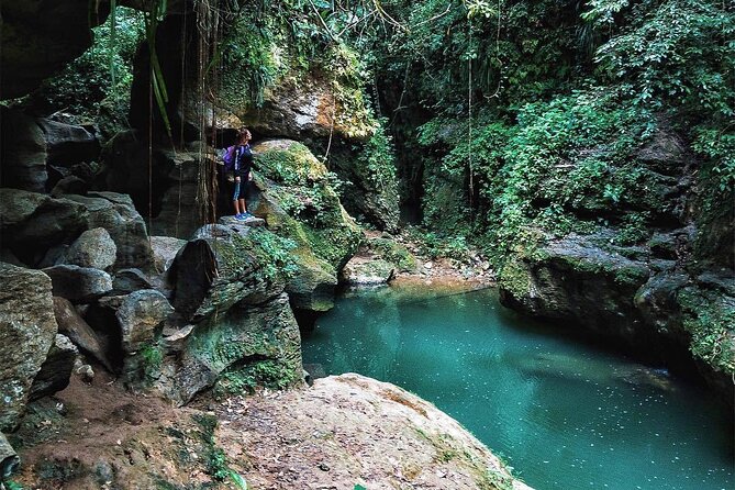 North Puerto Rico Nature Tour  - San Juan - Cancellation Policy