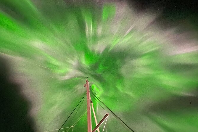 Northern Light Cruise With Luxury Catamaran in Tromso, Norway - Luxury Catamaran Features