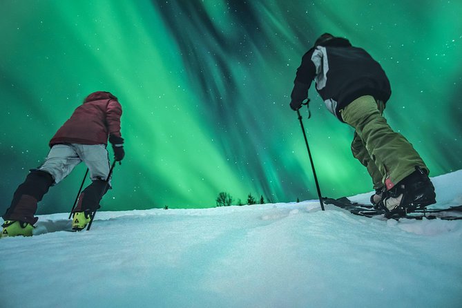 Northern Light Safari - Inclusions and Logistics