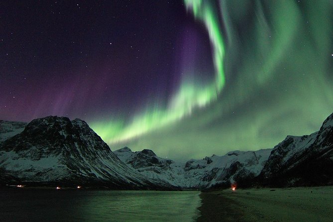 Northern Lights by Minibus. Photos Under the Lights Included. Tromso - Tour Details