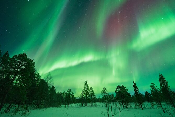 Northern Lights Hunt With the Green Adventure - Photos Included - Cancellation Policy and Weather Considerations