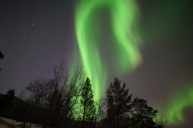 Northern Lights Hunt - Cancellation Policy