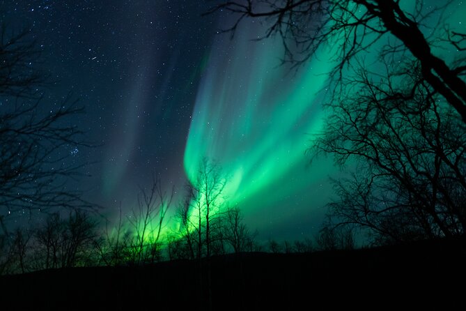 Northern Lights Tour From Kiruna to Abisko With Dinner - Traveler Reviews