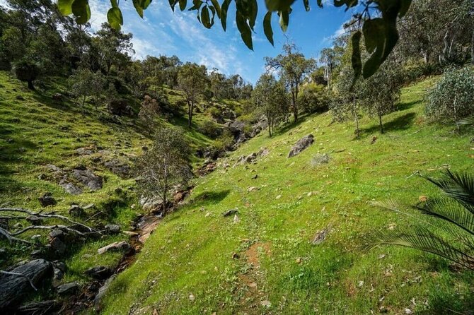 Numbat Trail Hiking Experience - Wildlife Encounters