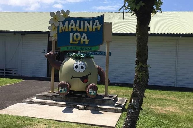 Oahu to Big Island : Big Island Volcano Helicopter Tour & Hilo 1 Day Tour - Select Date and Travelers