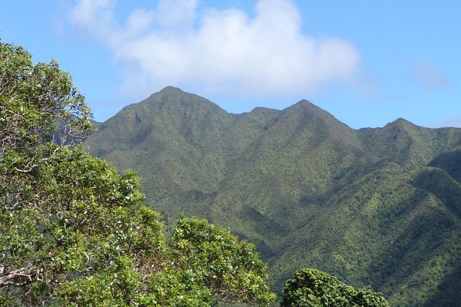 Oahu Volcanic Rainforest Hiking Adventure - Waterfall Description