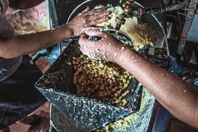 Oaxaca Cuisine and Market Tour: Small-Group Cooking Class  - Oaxaca City - Inclusions