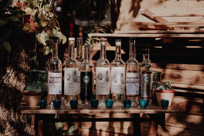 Oaxaca Mezcal and Mole Pairing  - Oaxaca City - Inclusions