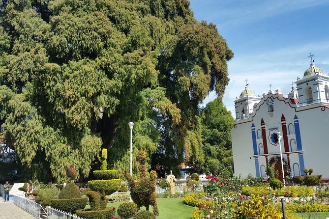 Oaxaca to Mitla, El Tule and Mezcal Tasting Full-Day Trip  - Oaxaca City - Traveler Photos and Reviews