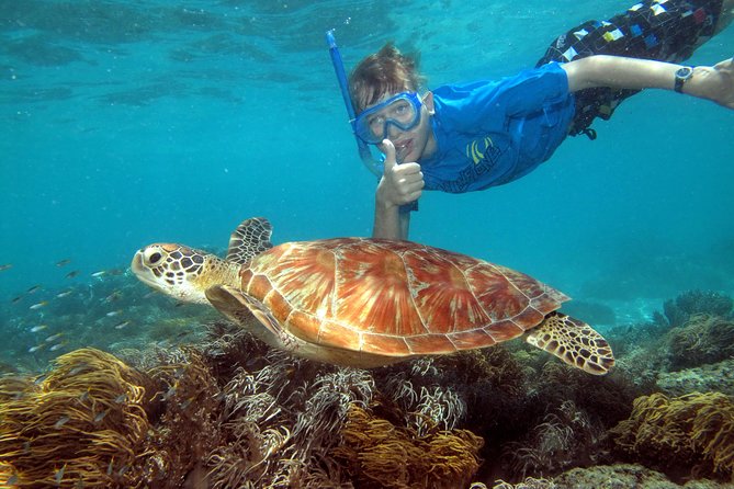 Ocean Spirit Sail to Michaelmas Cay Snorkel or Dive, From Cairns - Start Time and Cancellation Policy