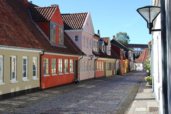 Odense Private Walking Tour - Local Guide Expertise