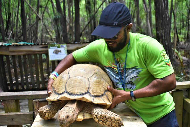 Off-Road ATV Adventure & JamCulture Tour Combo in Negril - Traveler Photos and Reviews