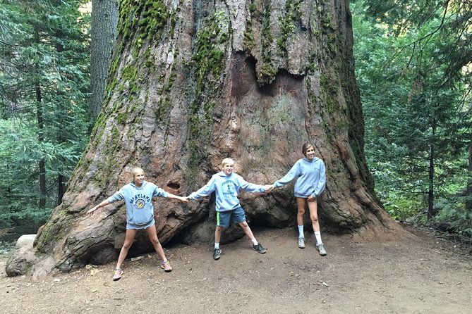 Off-Road Giant Sequoia 4x4 Tour - Sierra National Forest