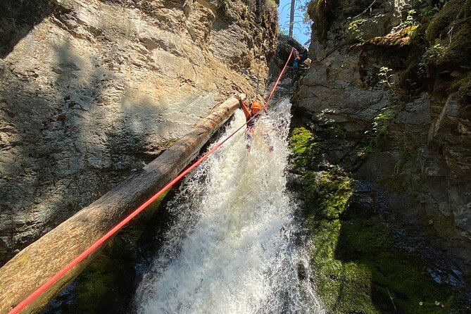 Okanagan Canyoning - Traveler Photos and Experiences