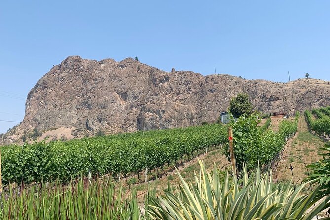 Okanagan Falls Half Day Sip Disturber Wine Shared Tour - Bottled Water