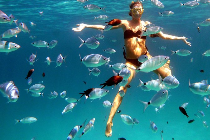 Olbia Coastline Private Minicruise With Snorkeling  - Sardinia - Pickup and Transportation Details