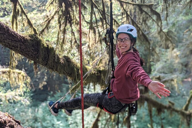 Old-Growth Tree Climbing at Silver Falls State Park - Other Activities and Attractions at Silver Falls State Park