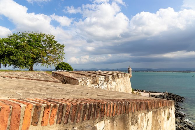 Old San Juan & Loiza African Town Full-Day Tour (8 People Tour). - The Sum Up