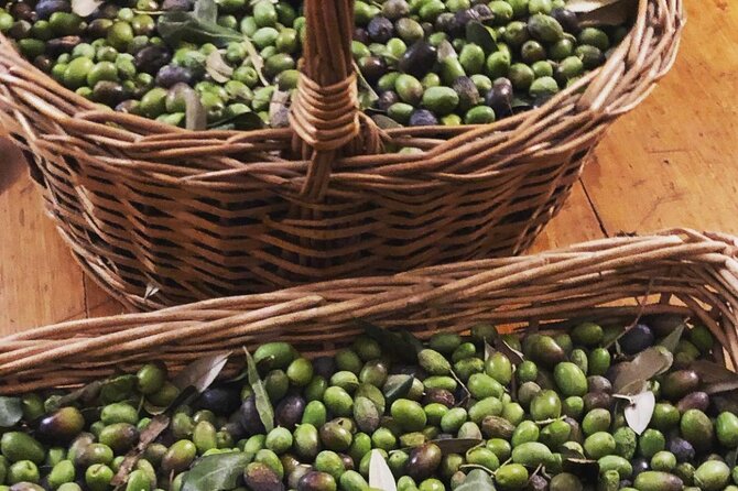 Olive Oil, Cheese, and Wine Tasting With Local Expert - Wine Tasting Selections