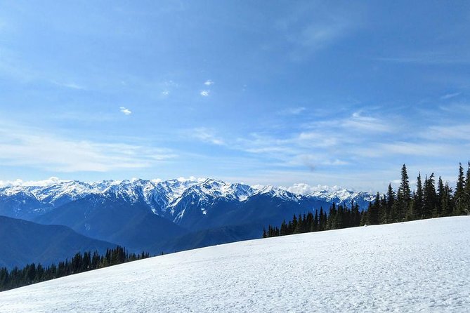 Olympic National Park Luxury Small-Group Day Tour With Lunch - Traveler Feedback