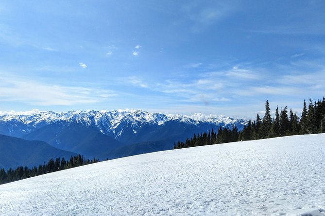 Olympic National Park - Private Luxury Day Tour With Lunch - Traveler Photos