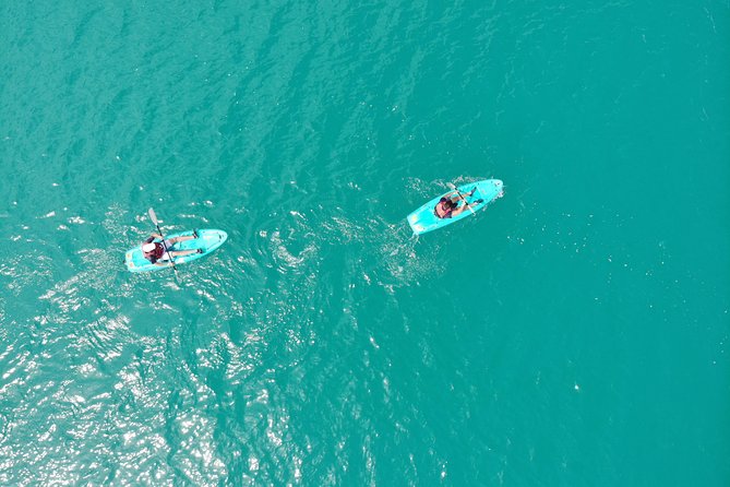 One Day Bacalar Seven Color Lagoon Adventure With Transportation and Lunch - Positive Reviews and Feedback