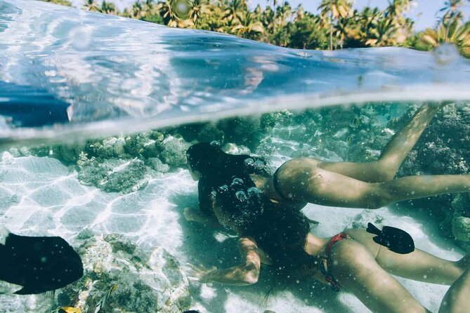 One Day Canoe Excursion Around Tahaa and Its Lagoon - Immersive Visit to a Pearl Farm